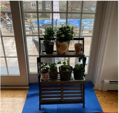 Plant Stand Perfect Way to Organize and Display Potted Plants, Ceramics, Kitsch, Outdoor Tools, and Any Other Odds and Ends