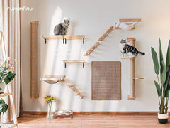 Cat Hammock Wall Mounted Large Cats Shelf - Modern Beds and Perches - Premium Kitty Furniture for Sleeping, Playing, Climbing, and Lounging